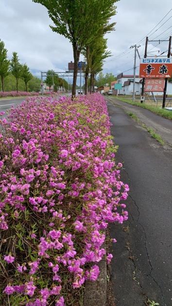Abashiri - Hotel / Vacation Stay 16174 エクステリア 写真